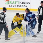 Goalie fight! Goaltenders brawl during Stadium Series game in Tampa